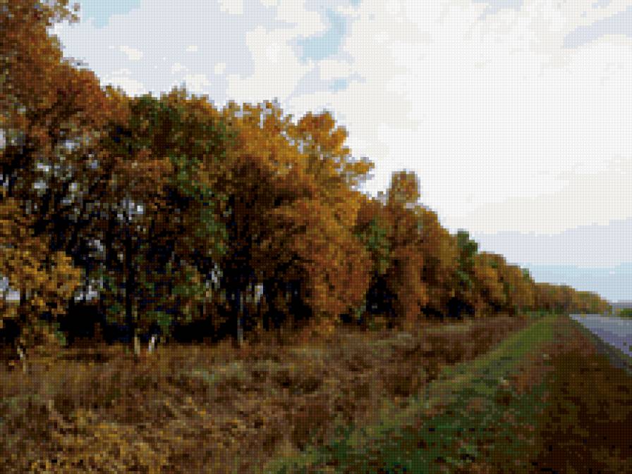 Осень - деревья, осень, дорога - предпросмотр