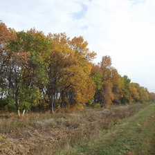 Схема вышивки «Осень»