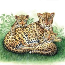 Схема вышивки «дикие животные»