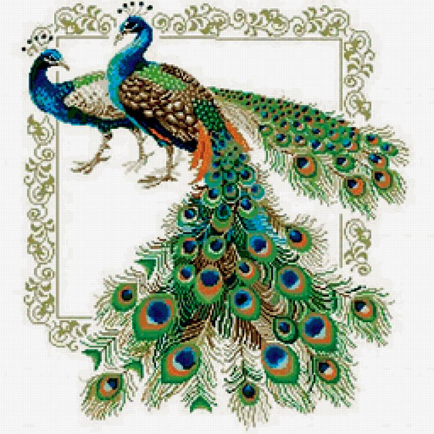 подушечка - павлины, птиы - предпросмотр
