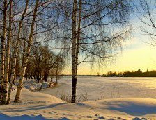 Схема вышивки «пейзаж»