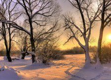 Схема вышивки «пейзаж»