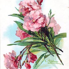 Схема вышивки «Цветы»