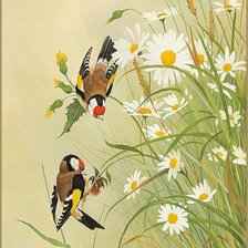 Схема вышивки «Птицы»