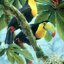 Схема вышивки «Птицы»