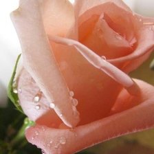 Схема вышивки «№332227»