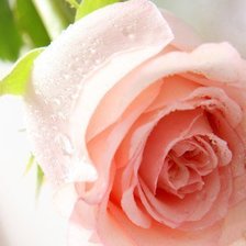 Схема вышивки «№332230»