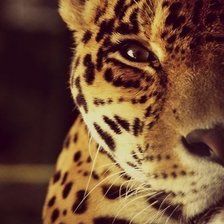 Схема вышивки «№332234»