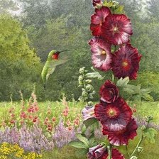 Схема вышивки «Птицы»