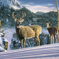 Схема вышивки «Олени»