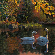 Схема вышивки «Лебединая пара»