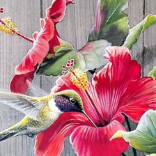 Схема вышивки «Птицы»