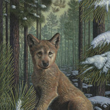 Схема вышивки «Волчонок»