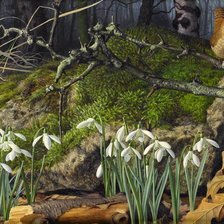 Подснежники