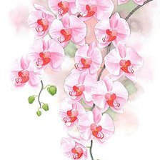 Схема вышивки «№332431»