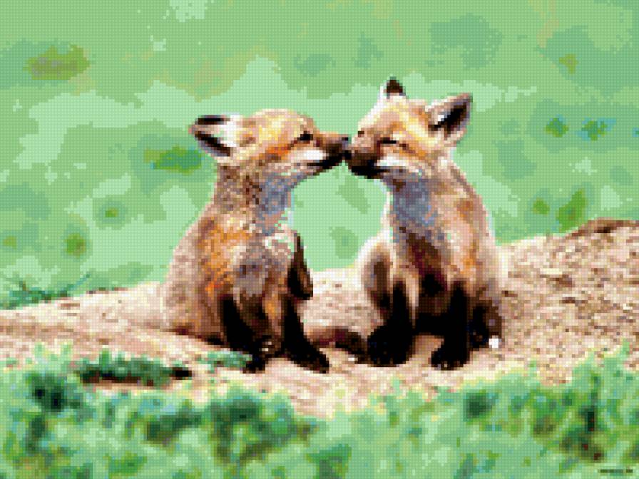 лисята - природа.животные.лисята - предпросмотр