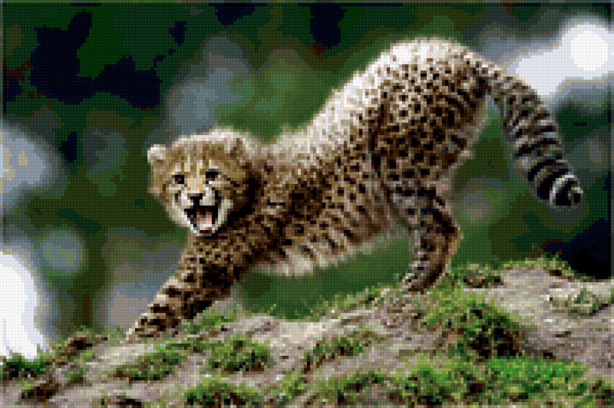 дикий котенок - природа.животные.кошка.котенок - предпросмотр