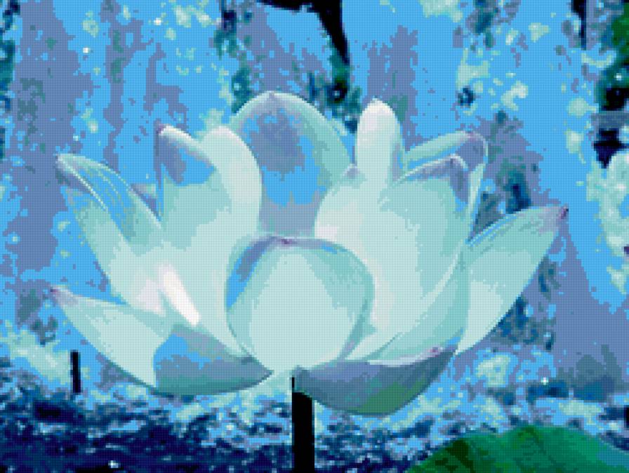 лилия - лилия, цветок, нимфея - предпросмотр