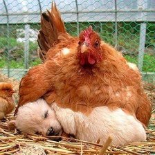 Схема вышивки «мама»