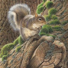 Схема вышивки «№332542»