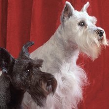 Схема вышивки «№332572»