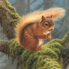 Схема вышивки «№332576»