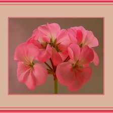 Схема вышивки «№332578»