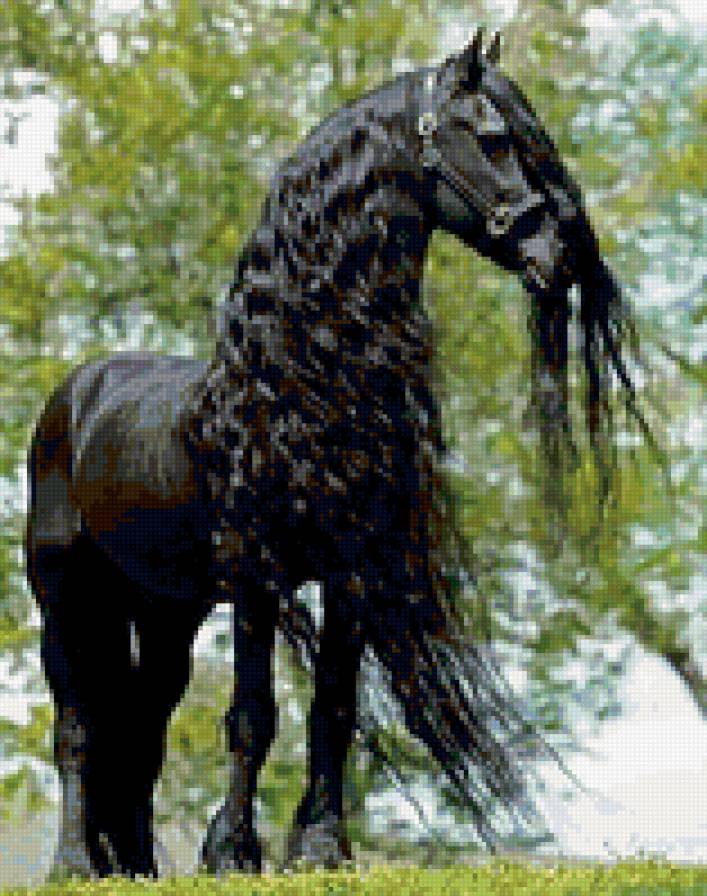 лошадь - природа.животные.лошадь - предпросмотр