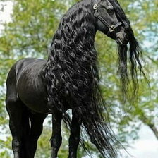 Схема вышивки «лошадь»