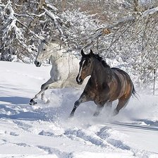 Схема вышивки «день и ночь»