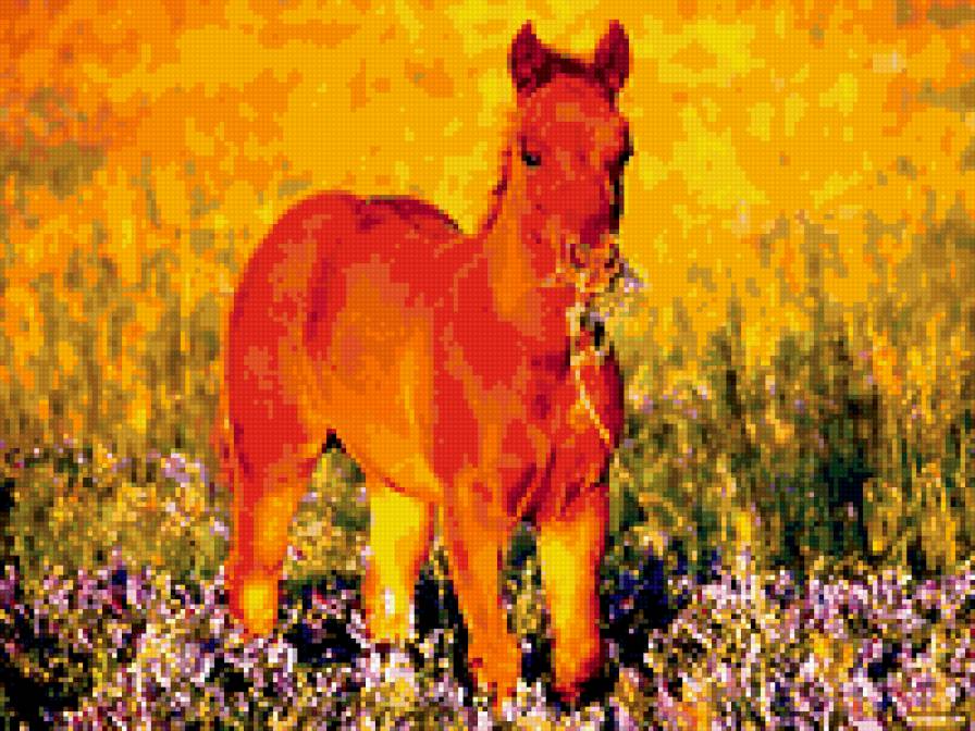 рыжик - природа.животные.луг.лошадь.жеребенок - предпросмотр