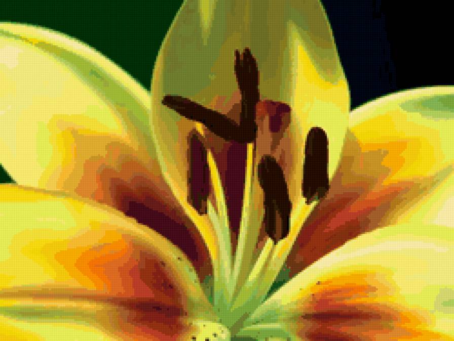 лилия - макро, лилия, цветок, лепестки - предпросмотр