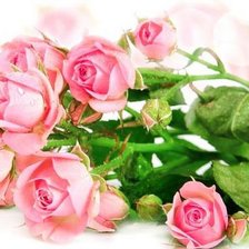 Схема вышивки «№332836»