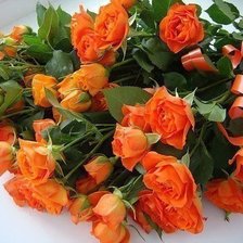 Схема вышивки «№332838»