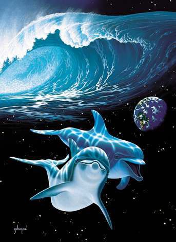 дельфины - оригинал