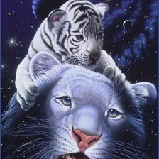Схема вышивки «тигр»