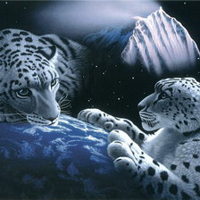 Схема вышивки «тигры»