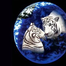 Схема вышивки «тигры»