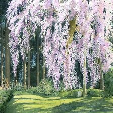 Схема вышивки «природа»