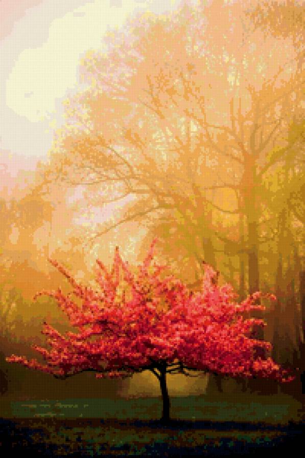 Цветущее дерево - дерево, природа, цветы - предпросмотр