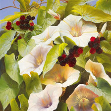 Схема вышивки «цветы»