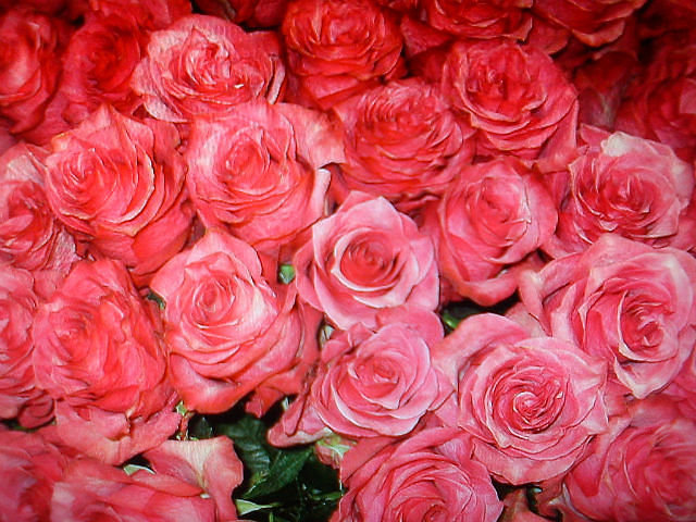 №333067 - оригинал