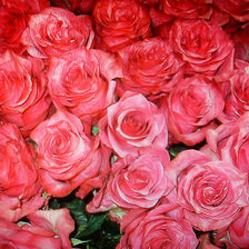 Схема вышивки «№333067»