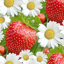 Схема вышивки «№333097»