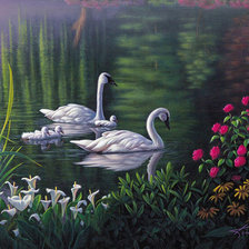 Схема вышивки «лебеди»