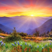 Схема вышивки «природа»