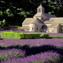 Схема вышивки «Лавандовое поле»