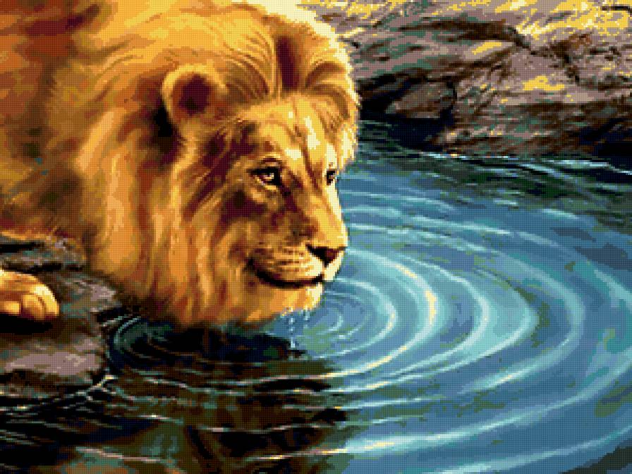 лев - водоем, природа, хищник, лев - предпросмотр