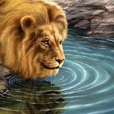 Схема вышивки «лев»