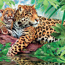 Схема вышивки «леопарды»